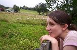 Warkworth - pastoral scene
